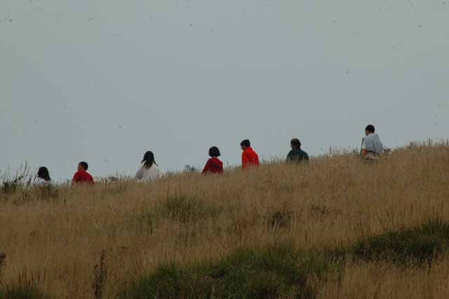 Chimney Rock Trail, Point Reyes